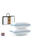 PREMIUM PROFESSIONAL GEL DOWN GUSSET PILLOW ( PACK OF 2)