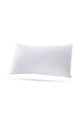 PROFESSIONAL PREMIUM PILLOW INSERT (PACK OF 2)