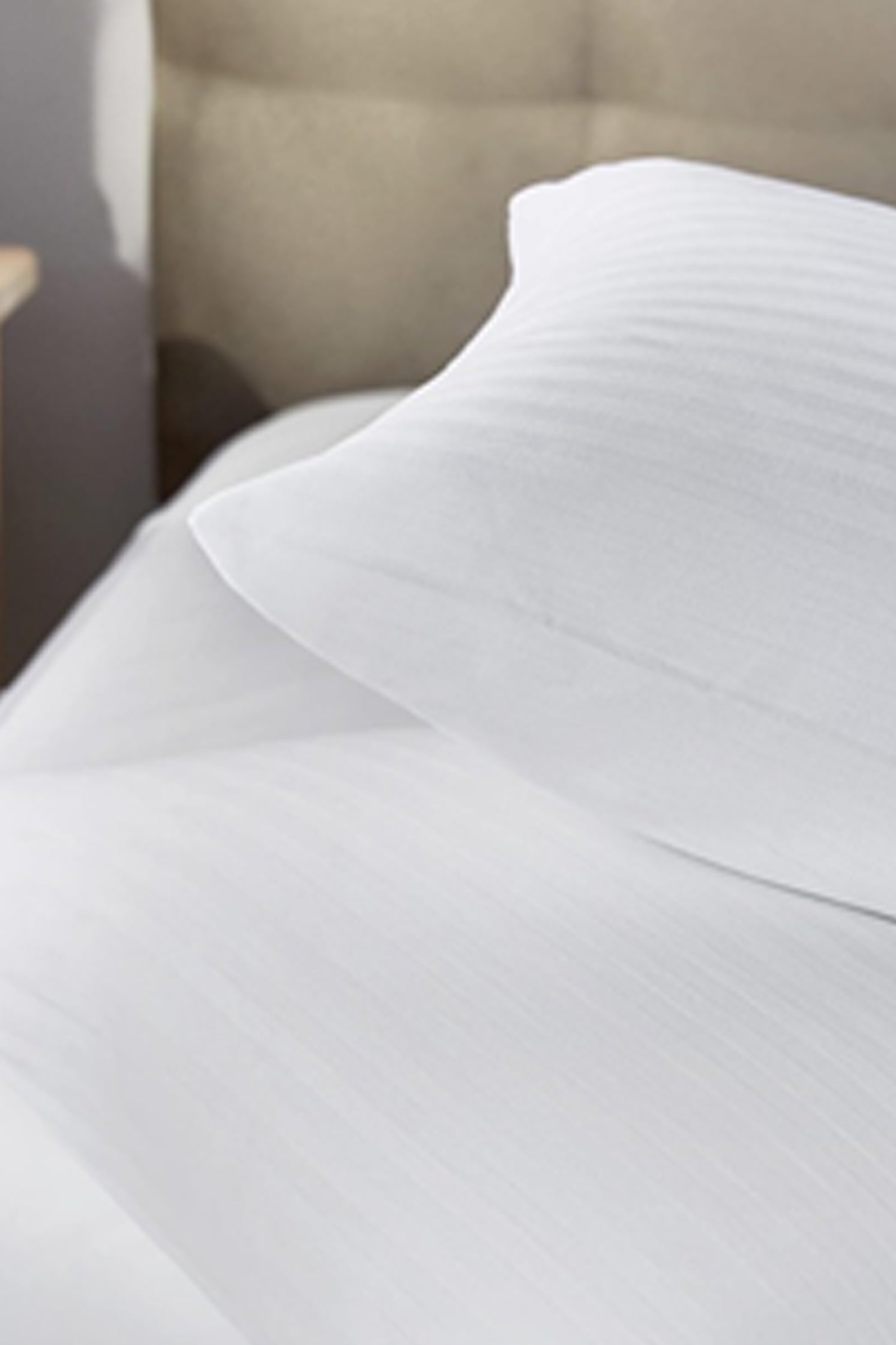 PROFESSIONAL PREMIUM PILLOW INSERT (PACK OF 2)