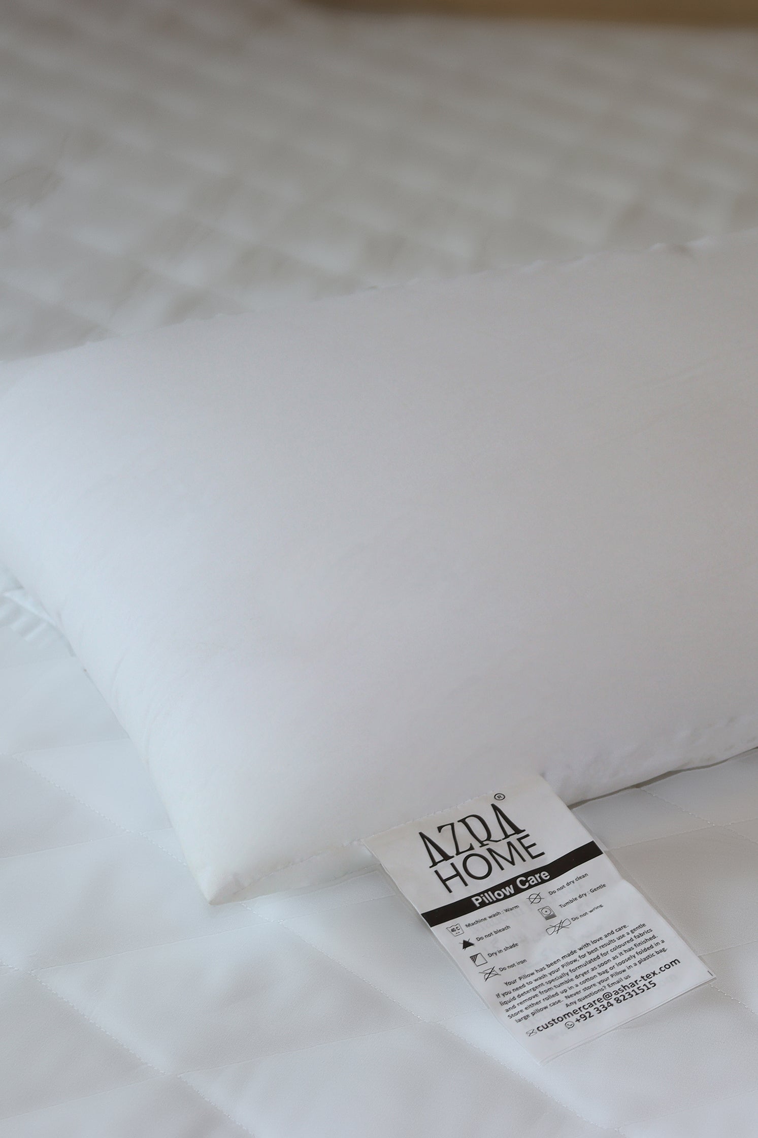 PROFESSIONAL PILLOW - Professional AE