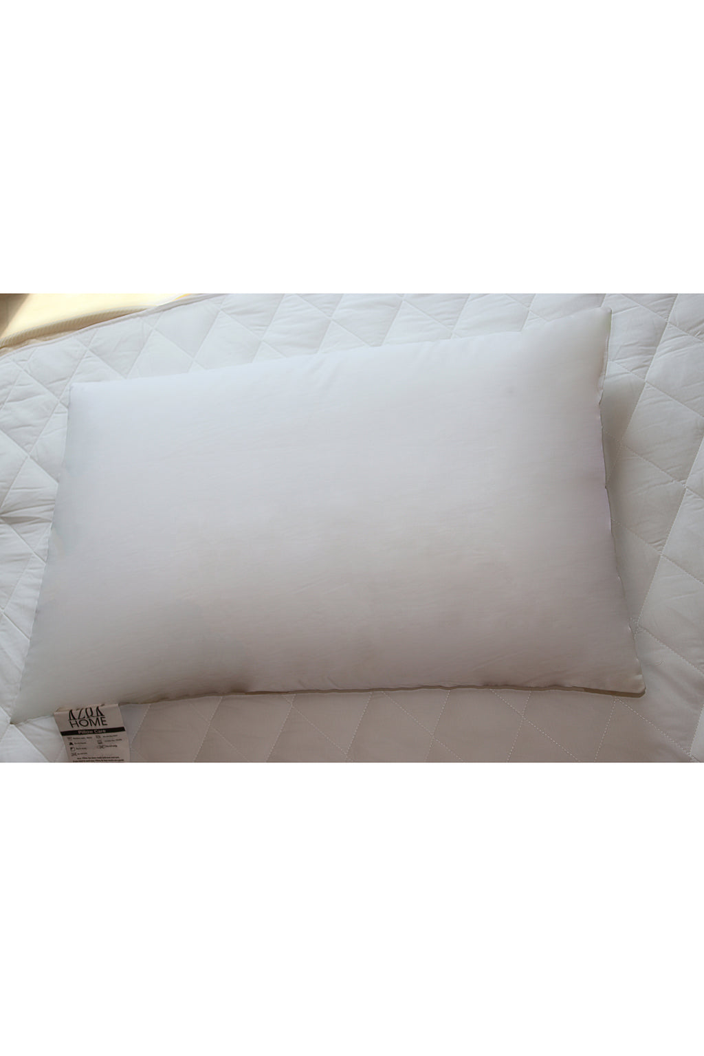 PROFESSIONAL PILLOW - Professional AE