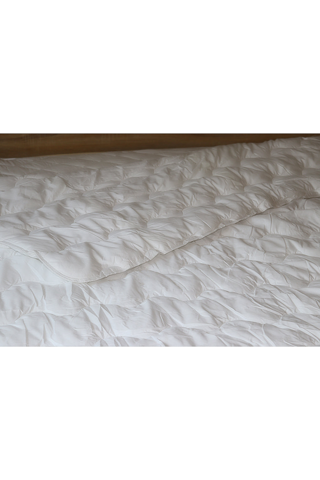 Professional comforter 350GSM - Professional AE