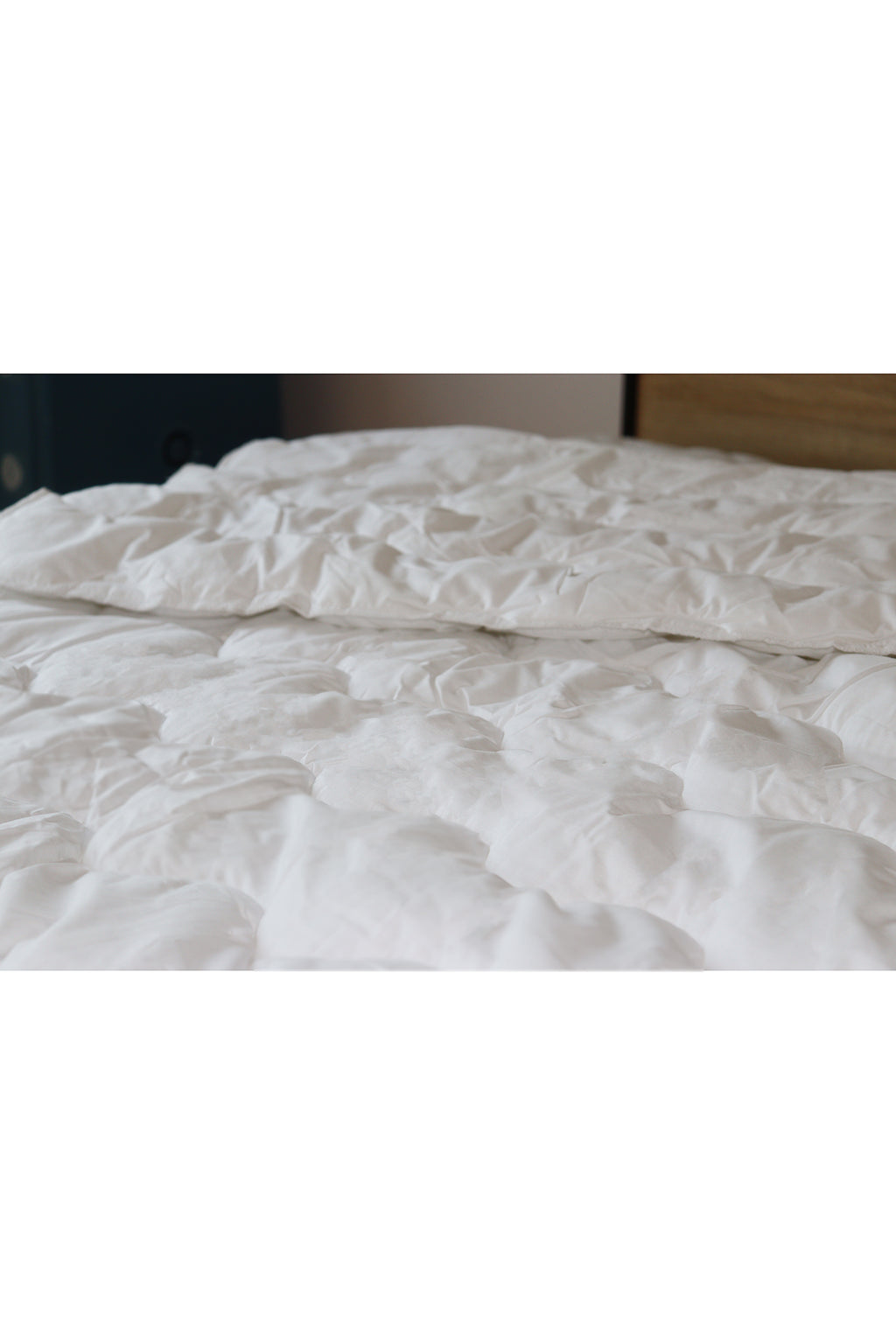 Professional comforter 350GSM - Professional AE