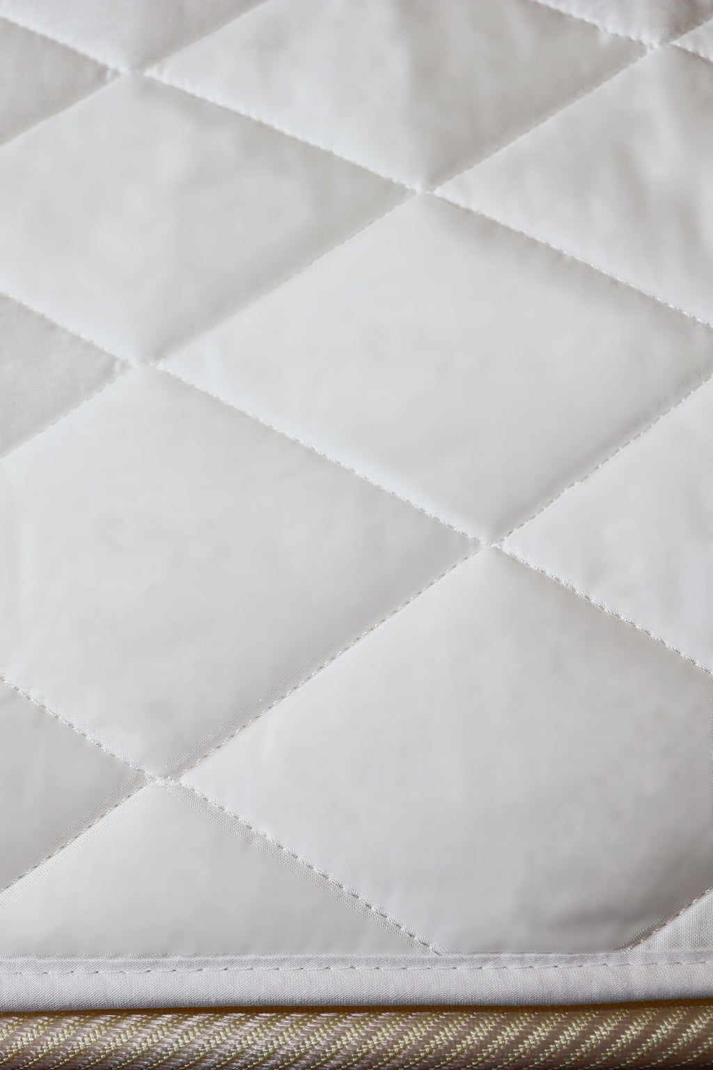 Professional MATTRESS PROTECTOR - Professional AE