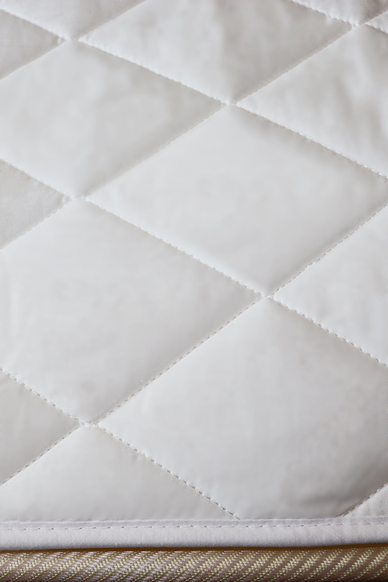 Professional MATTRESS PROTECTOR - Professional AE